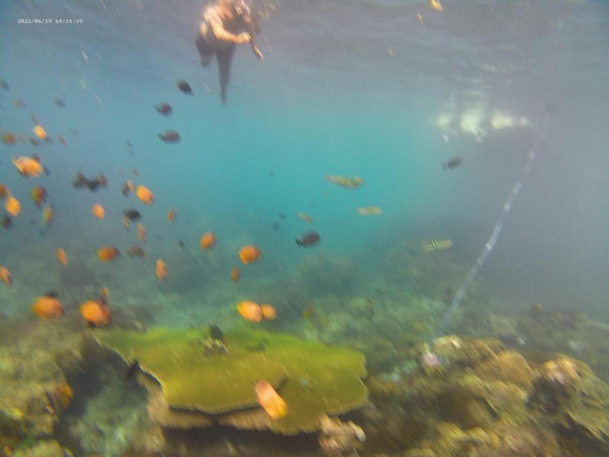 Agung Pring Homestay Batununggul Dış mekan fotoğraf